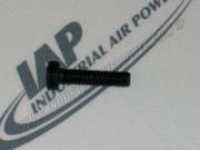 96702246 Cap Screw