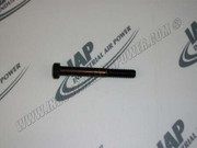 96706874 Cap Screw