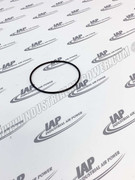 96957121 O-Ring For 1-1/4 Orfs 2