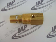 97162820 Check Valve