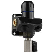 F1024 Fastpipe Composite, 3/4 inch Diameter, Multi Port Wall Outlet, 1/2 inch NPT (4x)