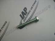 123478-K17 Pl.31NCX2.00 Hex CS Cap Screw