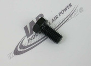 123478-N12 Pl.50NCX1.00 Hex CS Cap Screw