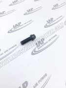 90386-M14 Pl.44NCX1.25 12Pt CS Cap Screw