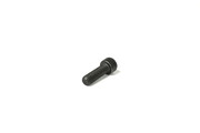 0211132500 Screw M 8x 25 Soc Hd, SSTL 12.9