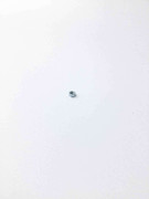 0266210800 Nut M Hex Zinc Plated SS