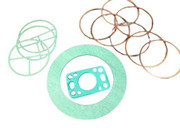 1202700200 Gasket M 171/220dx1t, 6holes 1