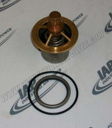 124973-054 Element, Thermal Valve