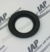 129613 Seal