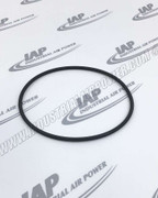 22749-243 O-Ring