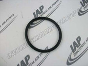 22749-333 O-Ring