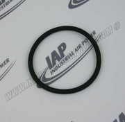 22749-336 O-Ring