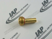 2021106101 Unloader Piston