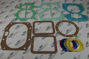 110981-002 Gasket Kit