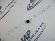 6196-003 Check Valve