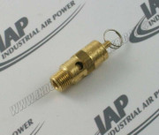 2961-100 Safety Valve