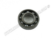 111107 Bearing