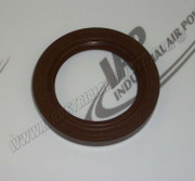 111781-001 Viton Oil Seal