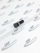 114545-R19 0.75 X 2.5 Bolt And Nut Assembly