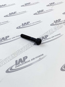 6517 Oil Inlet Filter Screw