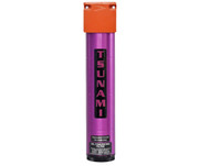 T7025 Tsunami, 1/4 inch NPT, Oil Coalescing Filter Unit (21999-0390-Z-Fd)