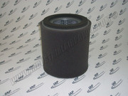 239P Replacement Element