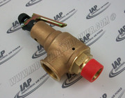 02250107-045 Relief Valve