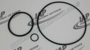 02250139-115 Seal Ws-200 & 250 Kit