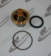 02250176-831 Kit, Rpr Thrmvlv O-Ring 190F