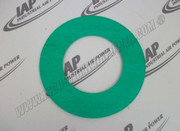 240620-007 Flange Gasket