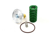 248302 Plunger