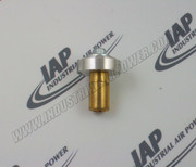 248307 1 1/4 inch Check Val Piston Assembly