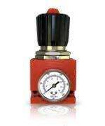 21999-0872 Pressure Regulator w/ Gauge