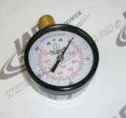 00543096 Gauge