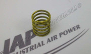01607987 Valve Spring