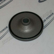 1622-1755-85 Inlet Valve