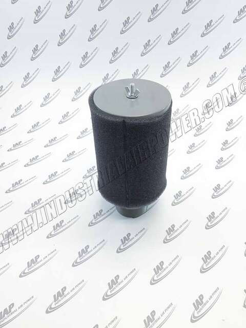 FT-231P-300 Exposed Filters-FT Series