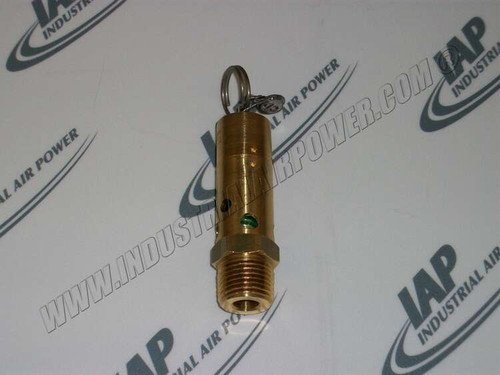SV-500-175 Safety Valve, 1/2 Inch, 175#