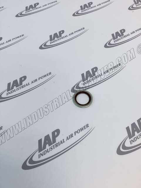 0661-1000-39 Seal Washer