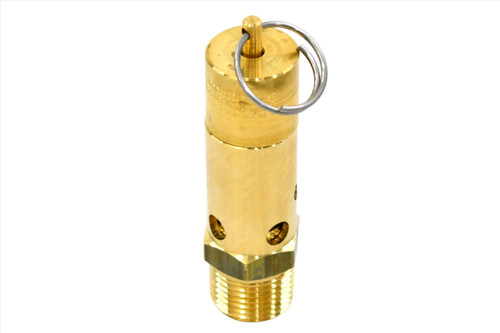 0830-1009-96 Valve Safety