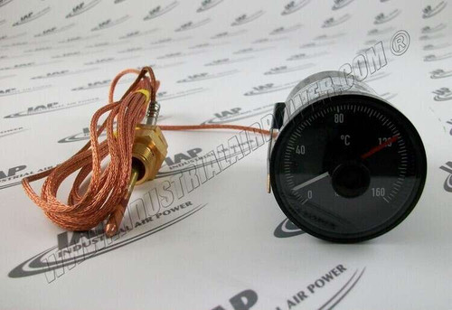 1089-0708-07 Temperature Switch