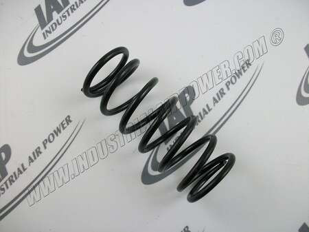1613-6800-01 Spring