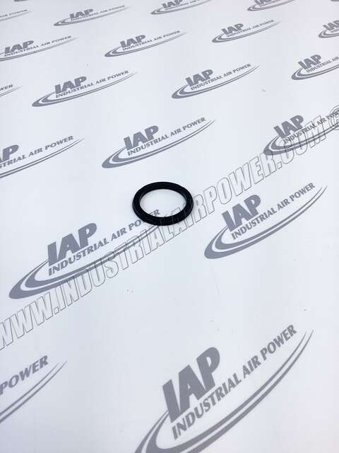 1613-6969-00 Ring-Piston