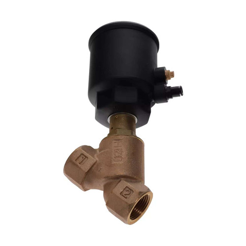 1617-6595-02 Exhaust Valve 1