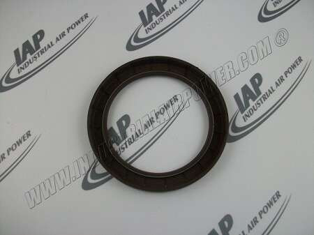 1619-5177-00 Shaft Seal