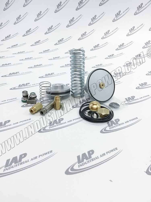 2200-9009-51 Inlet Valve Kit C106