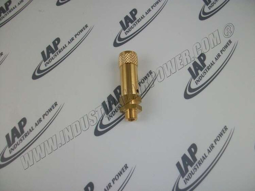 2200-9507-74 Safety Valve Sic.1/4+