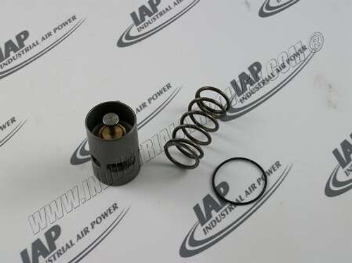 2901-1617-00 Service Kit: Thermostatic Valve