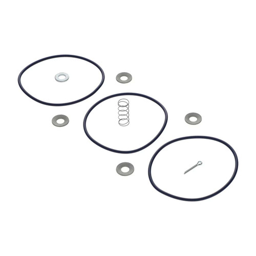 2902-0310-00 Inlet Valve Kit