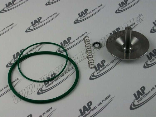 2906-0093-00 Check Valve Kit